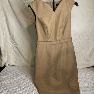 The Limited Tan Dress